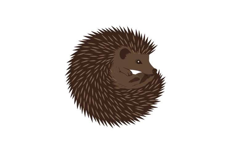 Ball Clipart Image 10