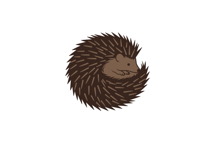 Spine Clipart Image 22