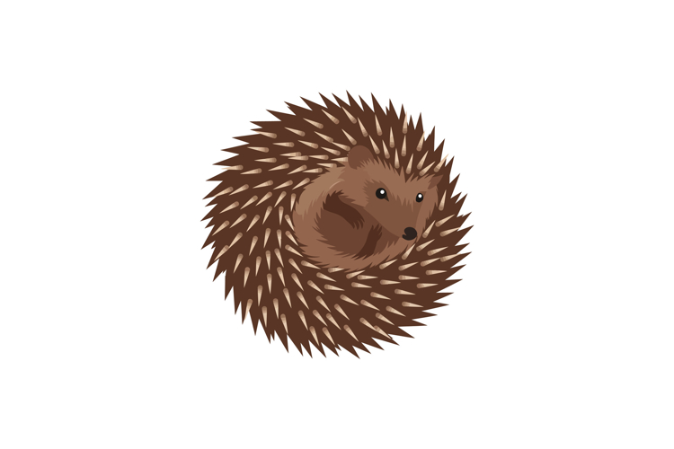 Spine Clipart Image 12