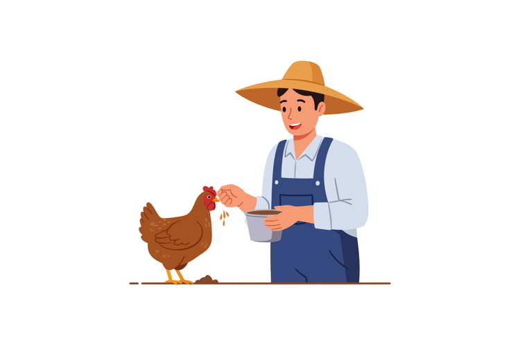 Chicken Clipart Image 17