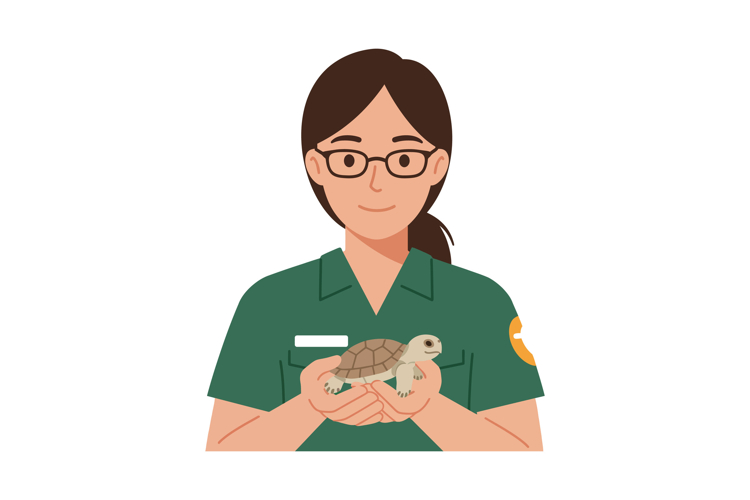 A woman in a green shirt gently holds a baby turtle in flat