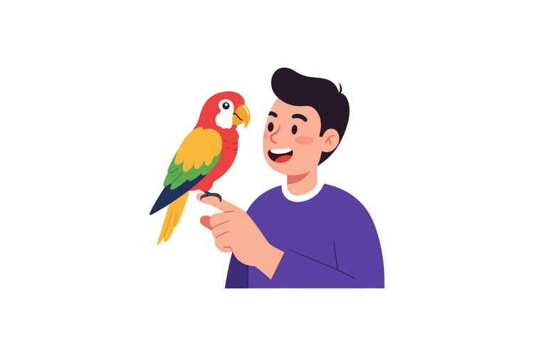 Parrot Illustration Image 16