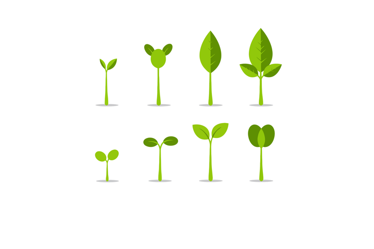 Seedling Clipart Image 19