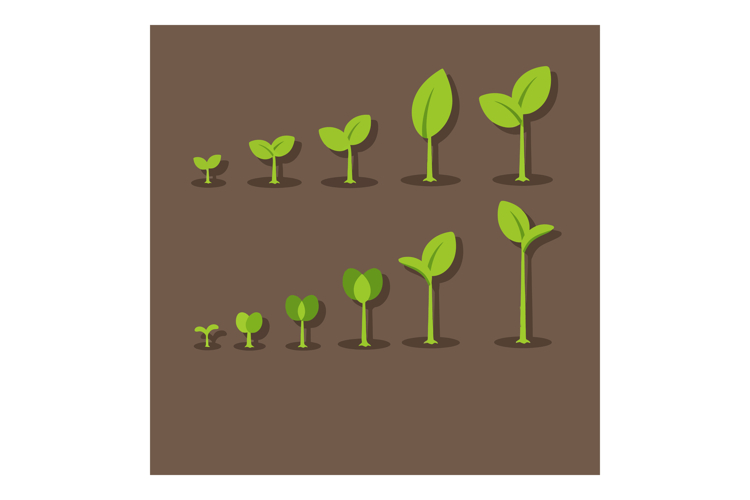 Seedling Clipart Image 18