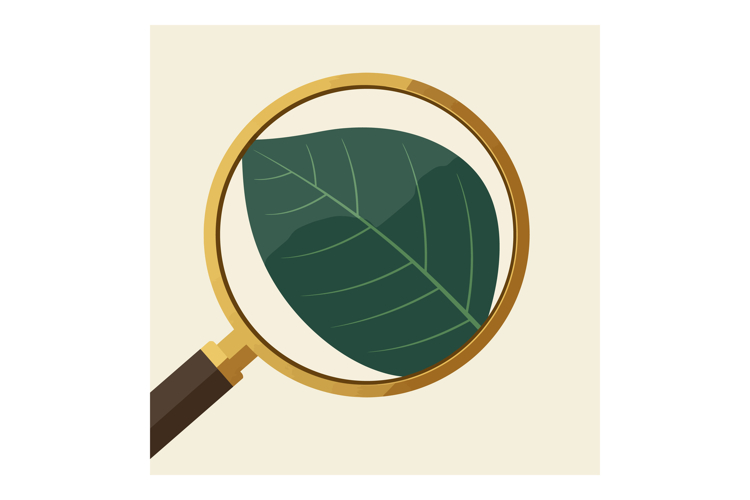 Magnifying Glass Clipart Image 13