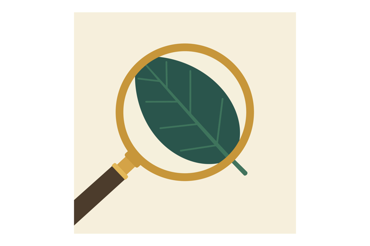 Magnifying Glass Clipart Image 12
