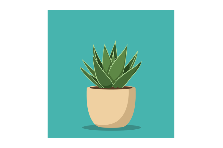 Succulent Clipart Image 13