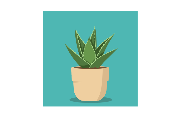 Succulent Clipart Image 12