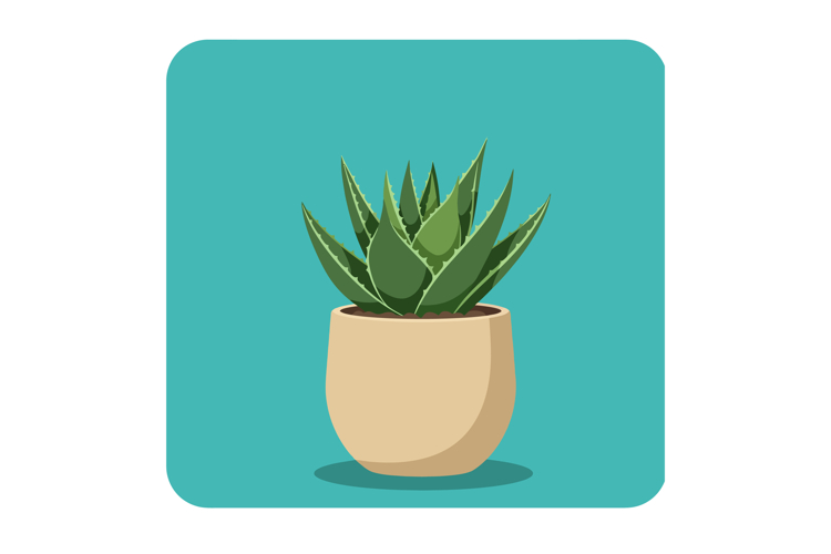 Aloe Vera Plant in Beige Pot on Turquoise Background Vector
