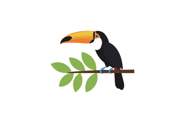 Bird Vector Image 16