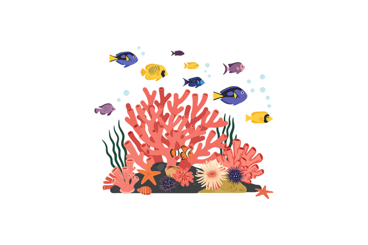 Coral Clipart Image 9