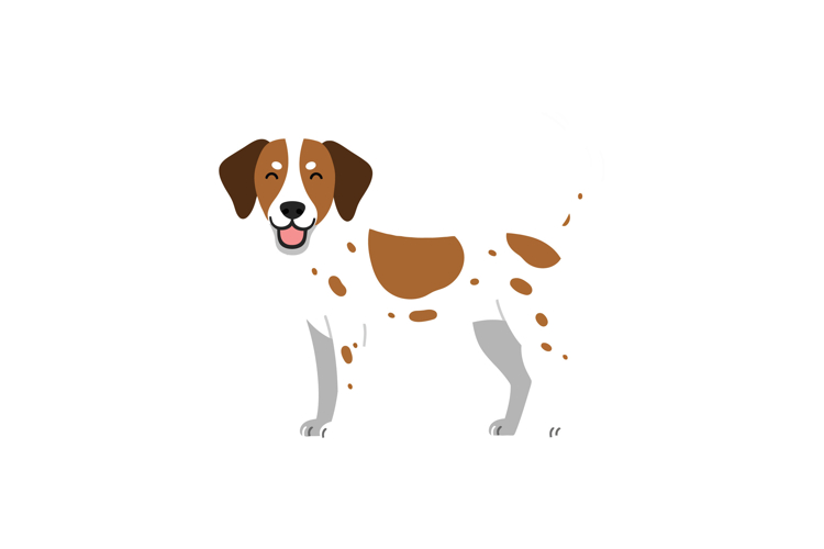 Dog Vector Image 13
