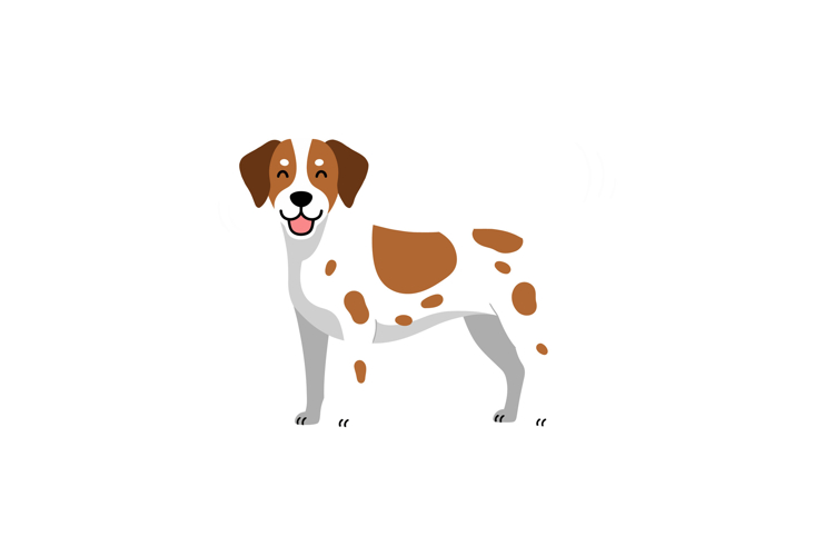 Pet Illustration Image 13