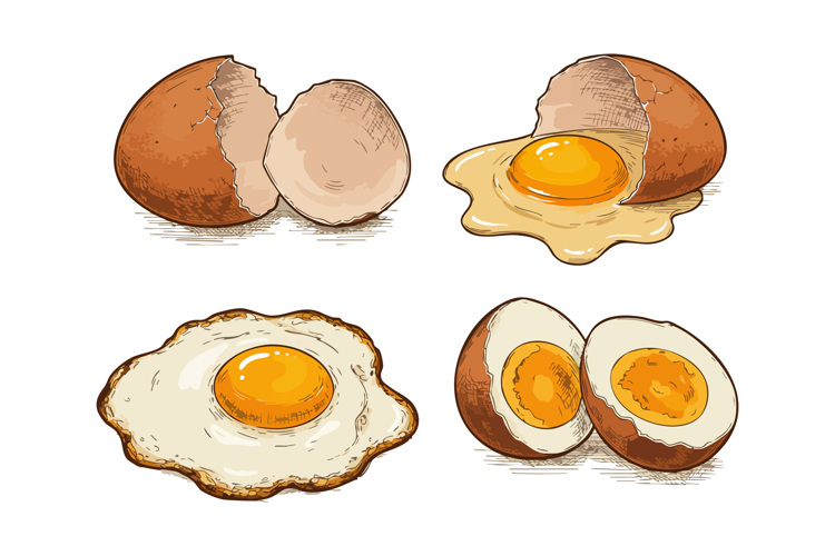 Fried Clipart Image 6