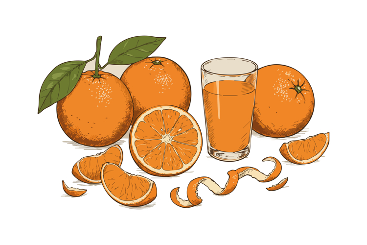 Orange Slice Clipart Image 20