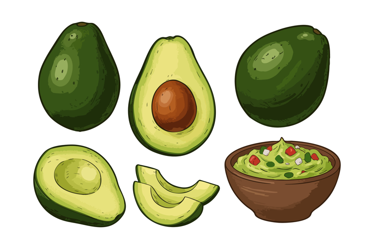 Guacamole Clipart Image 2