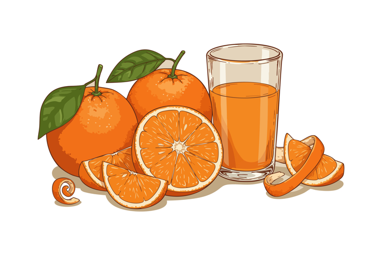 Orange Slice Clipart Image 8