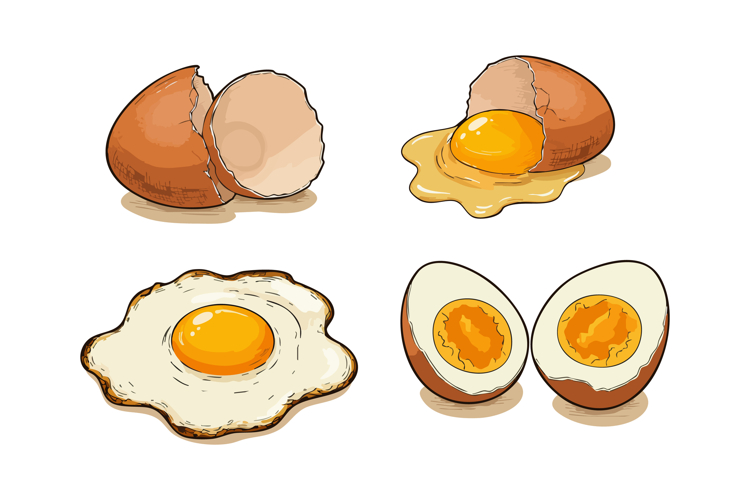 Fried Clipart Image 5