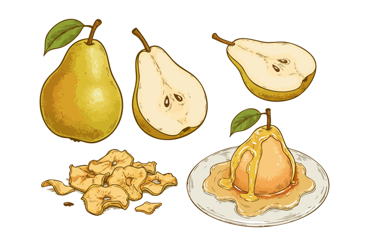 Pear Clipart Image 7