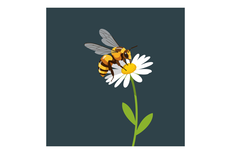 Bee Clipart Image 3