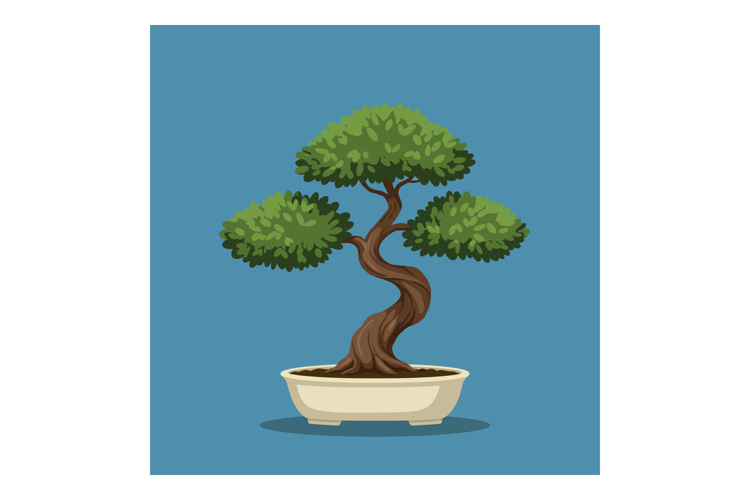 Bonsai tree with twisted trunk and green foliage in pot vect