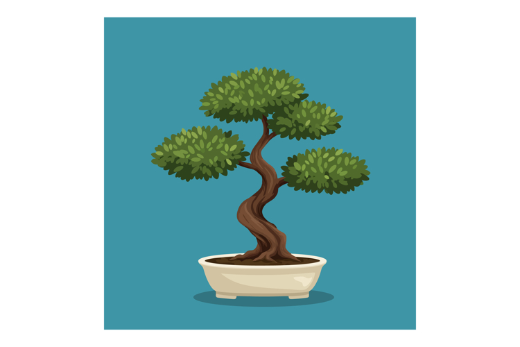 Bonsai tree in ceramic pot with lush green leaves on blue ba