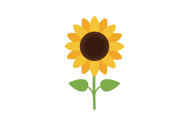 Sunflower Clipart Image 11
