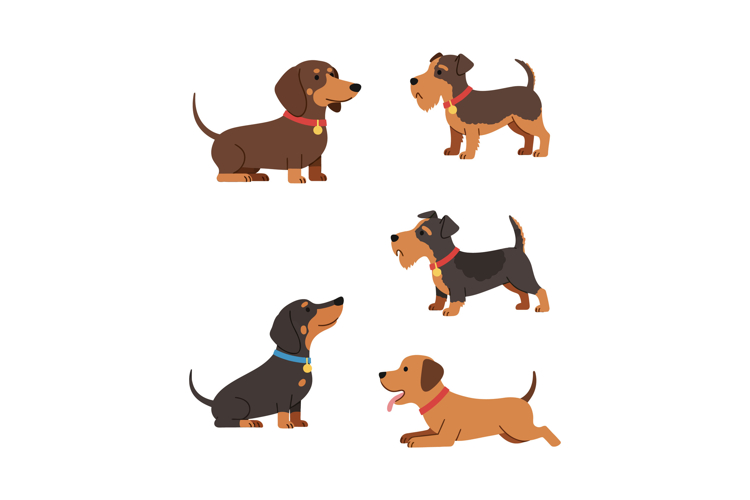 Dog Collar Clipart Image 20