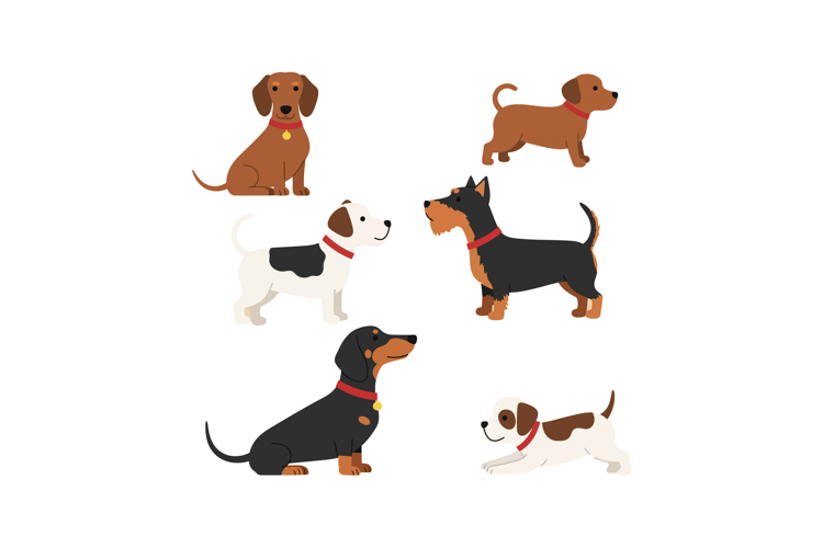 Dog Collar Clipart Image 19