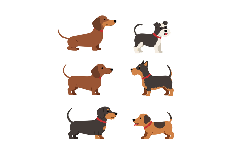 Dog Collar Clipart Image 18