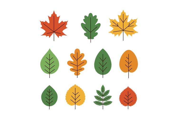 Colorful autumn leaves collection flat design with red, gree