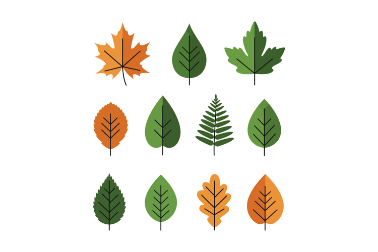 Various colorful autumn and green leaves collection in flat