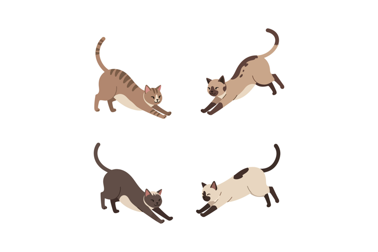 Pet Clipart Image 23