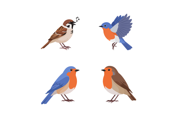 Four colorful small birds in flat design style with singing