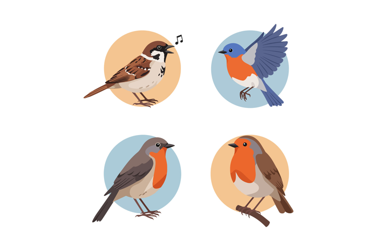 Robin Clipart Image 19