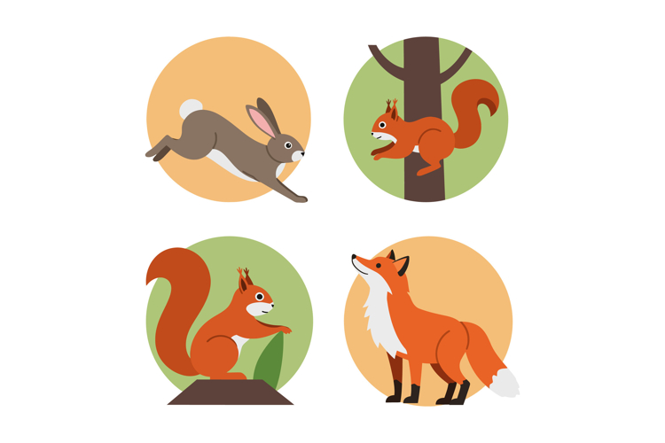 Squirrel Clipart Image 17