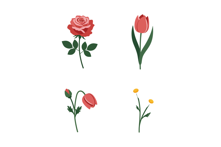 Poppy Clipart Image 12