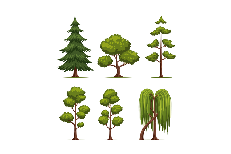 Various types of green leafy trees with detailed foliage and