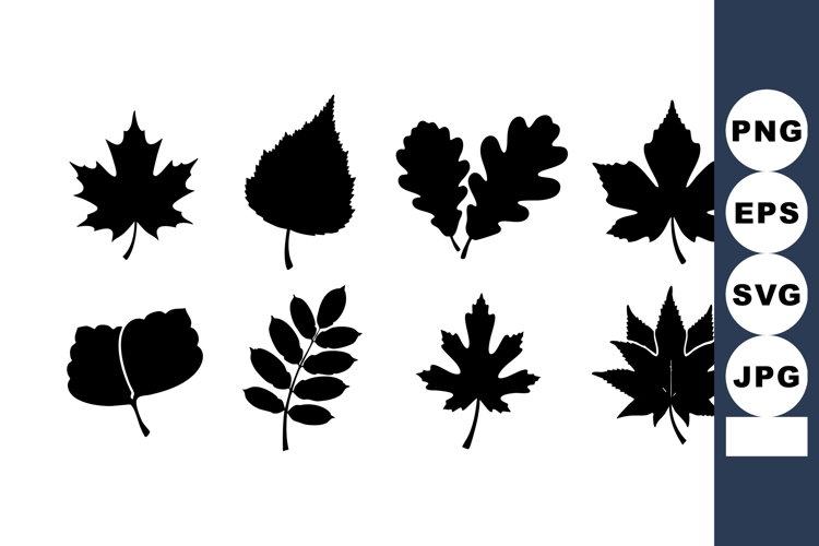Silhouette vector illustration of diverse tree leaves shapes
