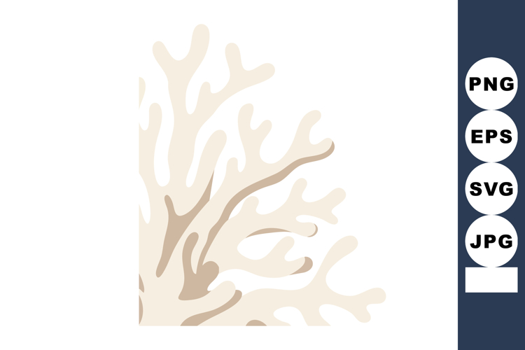 Coral Illustration Image 13