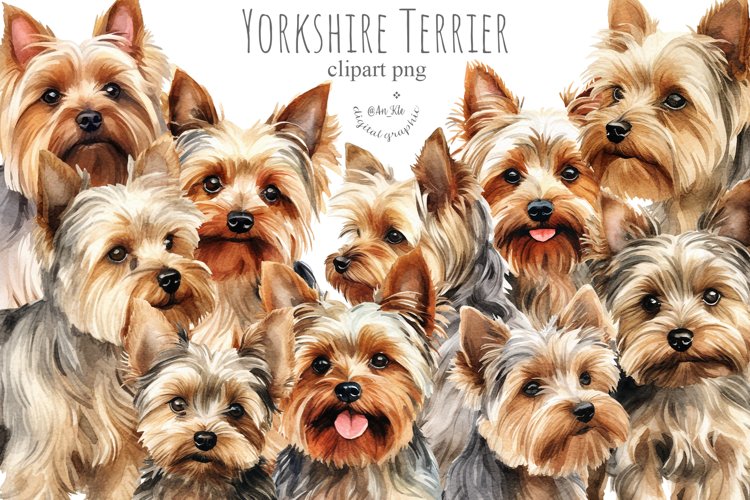 Yorkie Clipart Image 11