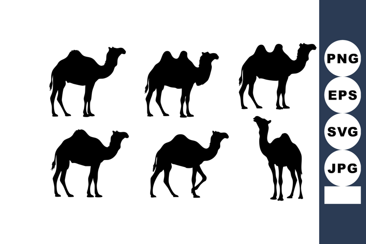 Desert Silhouette Image 14