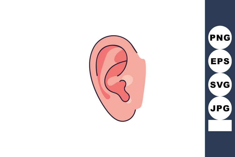 Anatomy Clipart Image 2