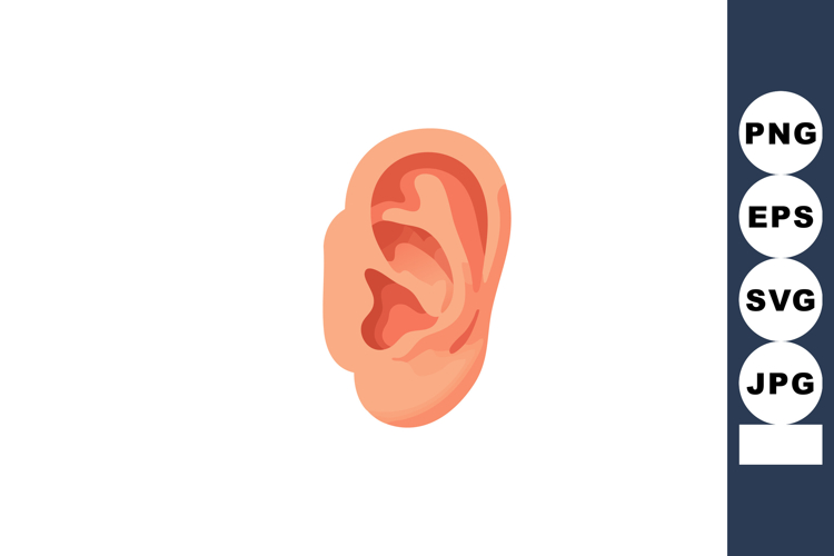 Skin Clipart Image 10