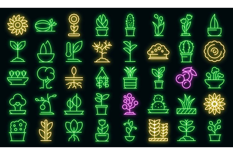 Plants Vector Image 6