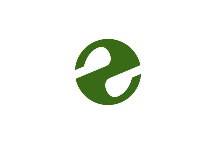 Letter Z Logo Image 5