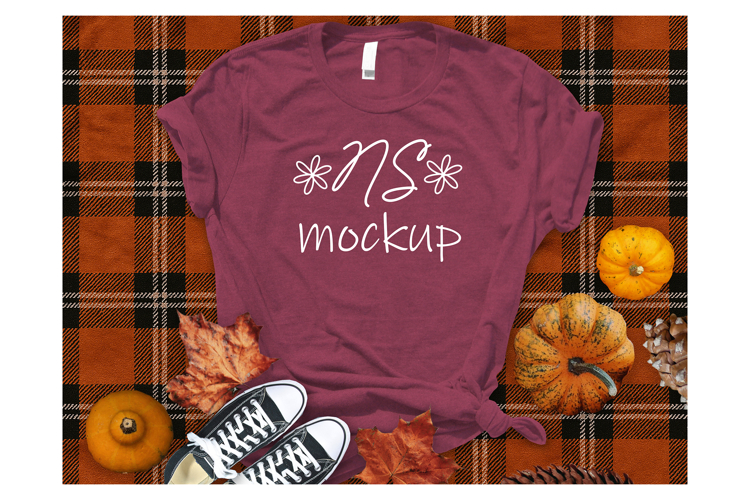 Bella Canvas 3001 T-shirt mockup color MAROON HEATHER
