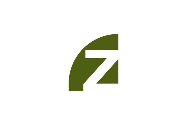 Letter Z Logo Image 4