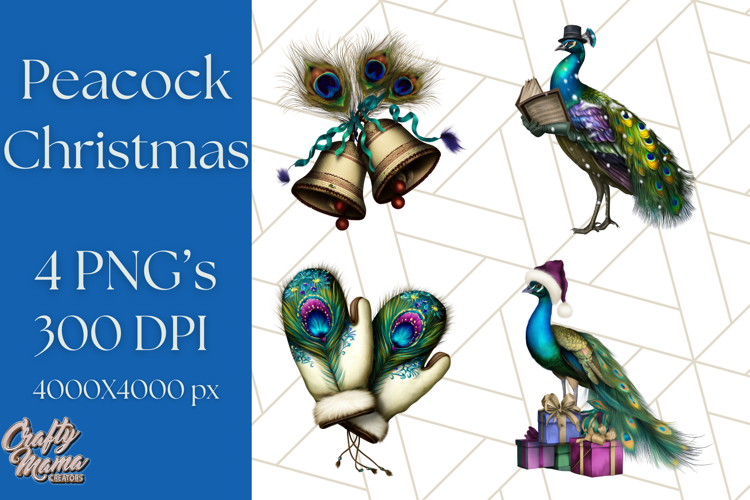 Peacock Png Image 23