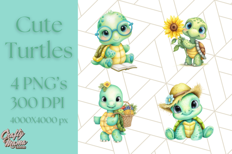 Turtle Png Image 7